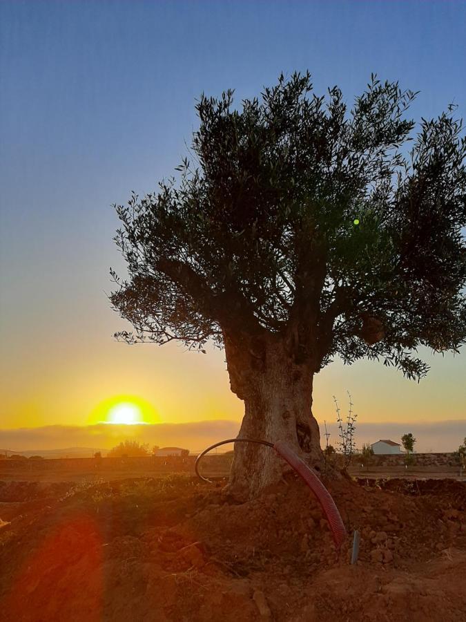 Agriturismo El Bounty Hotell Puerto del Rosario  Exteriör bild